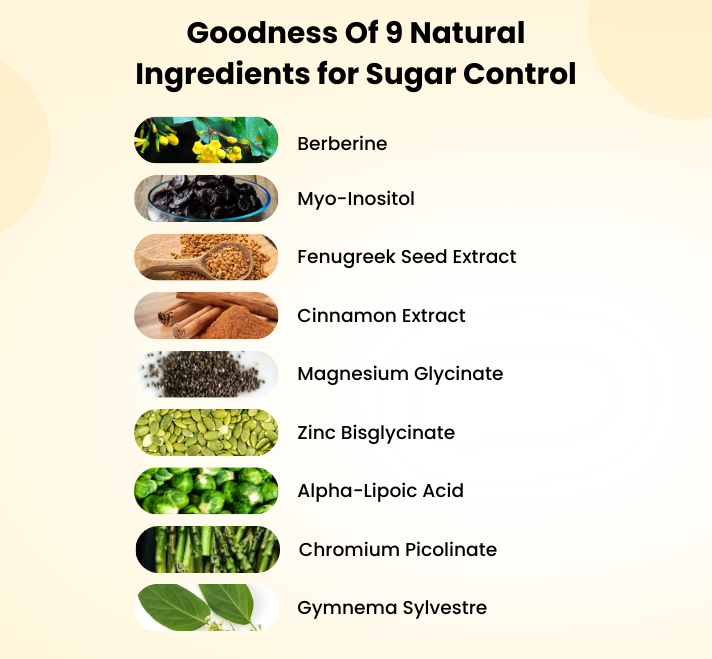 Sugar Control Clean Gummies
